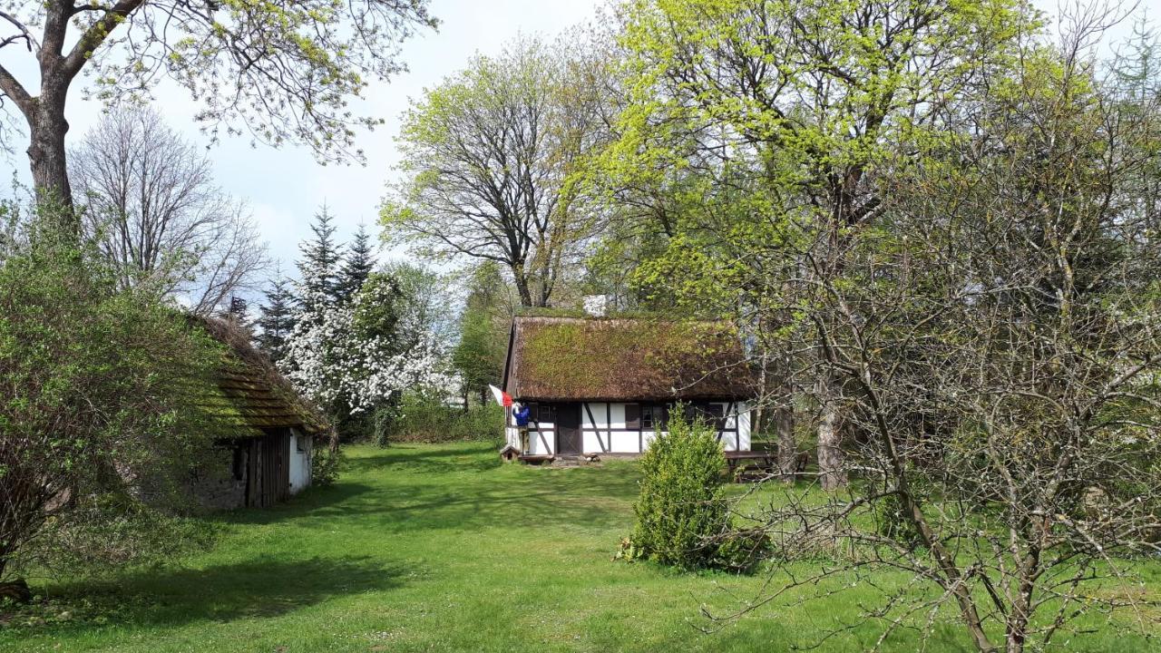 Villa Malanka - Kaszubska Checz Strzepcz Exterior foto