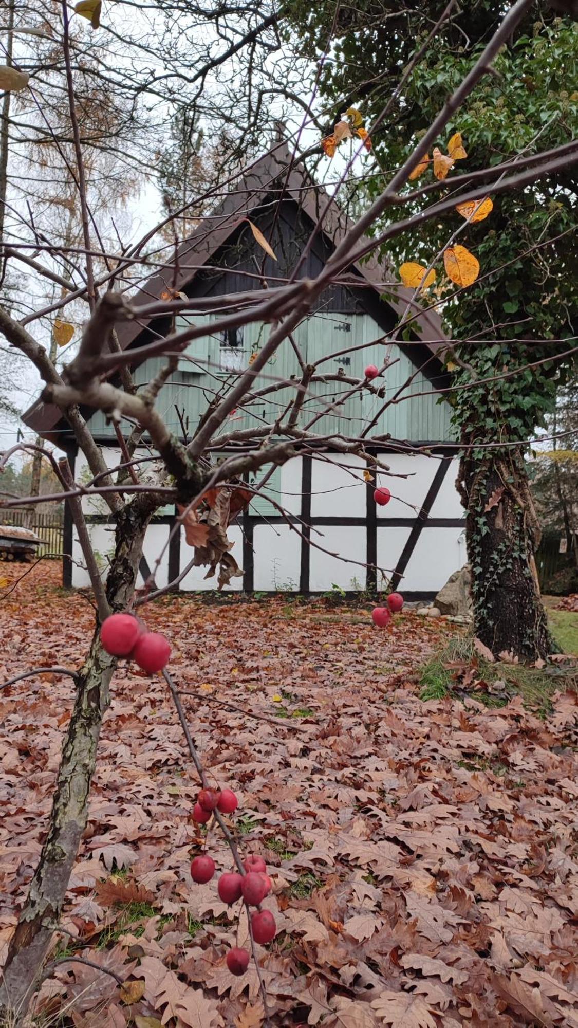 Villa Malanka - Kaszubska Checz Strzepcz Exterior foto